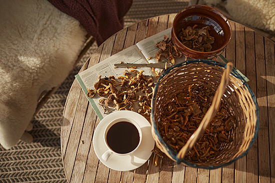 mushroom coffee for energy