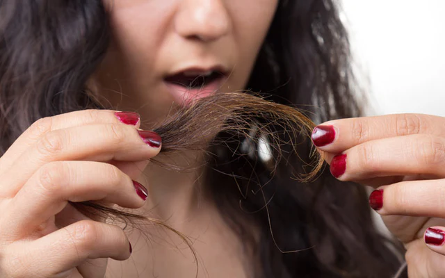 how to prevent split ends without cutting hair