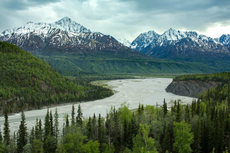 alaska permanent fund dividend stimulus payment